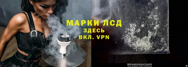 индика Алексин