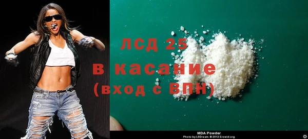 индика Алексин