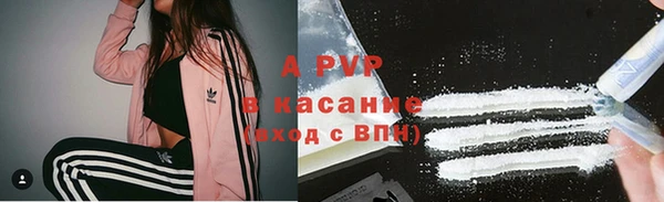 индика Алексин