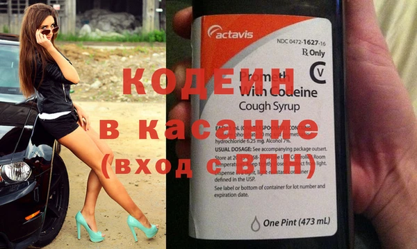 индика Алексин