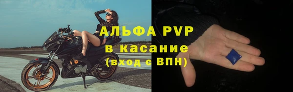 индика Алексин