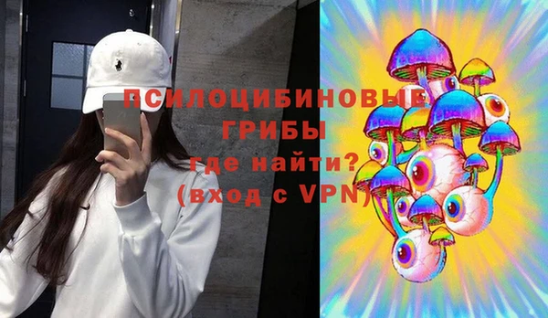 индика Алексин