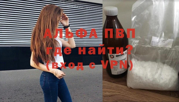 индика Алексин