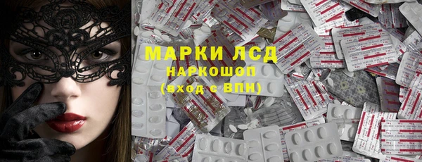 индика Алексин