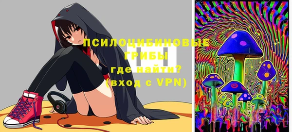индика Алексин