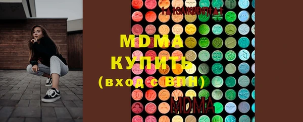 индика Алексин