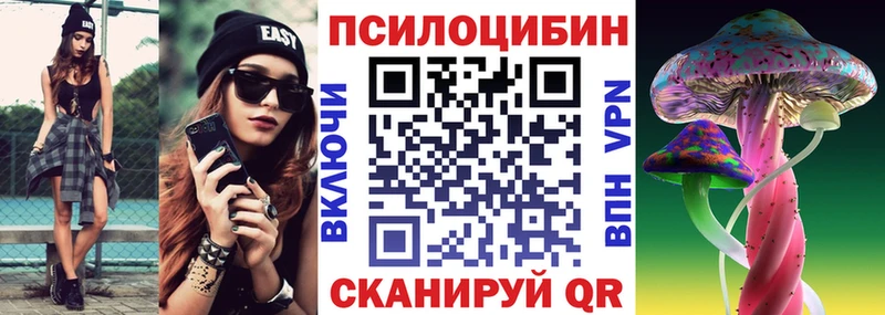 Псилоцибиновые грибы Psilocybine cubensis  Суровикино 